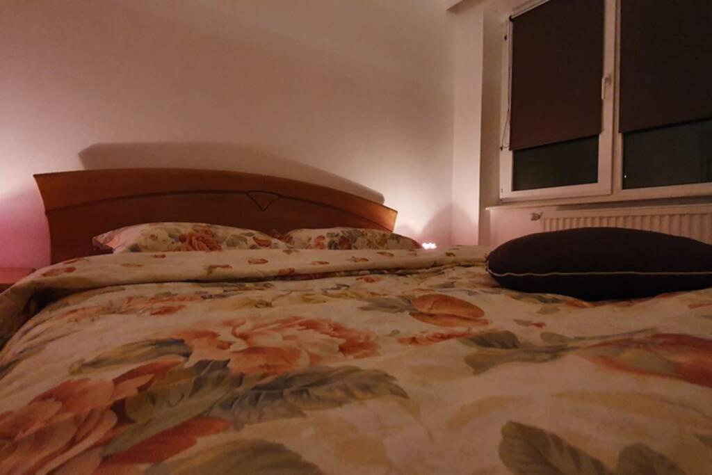 Titian'S Cozy Apartment Сібіу Екстер'єр фото