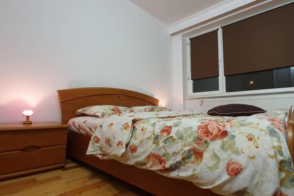 Titian'S Cozy Apartment Сібіу Екстер'єр фото